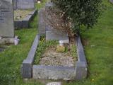 image of grave number 816561